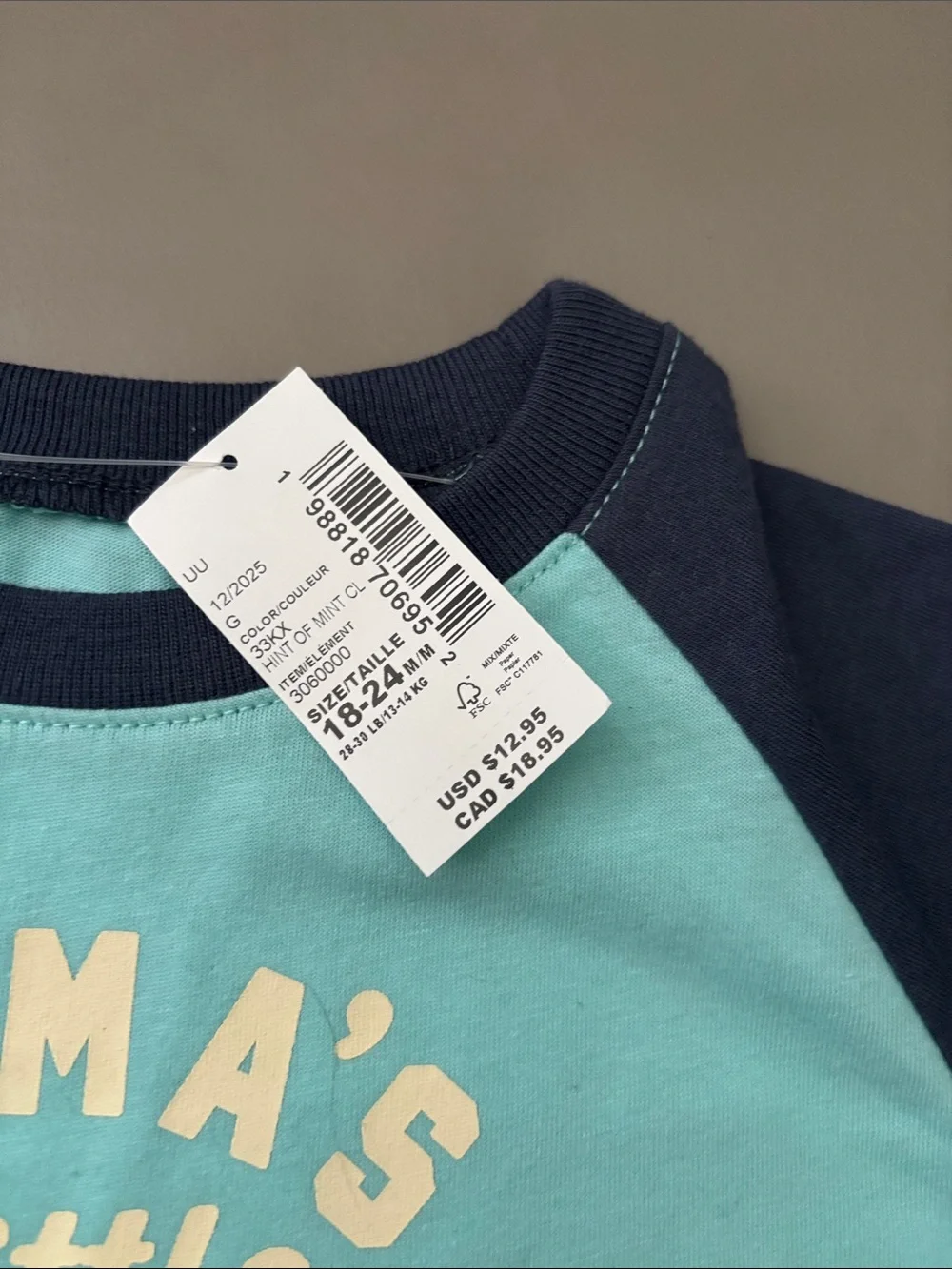 The Children's Place Light Teal & Navy Raglan Tee with Cream Text